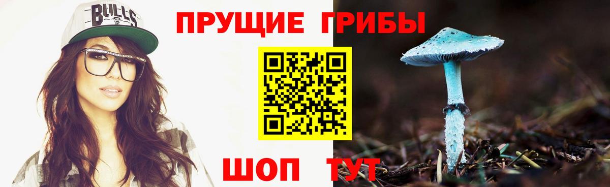 Псилоцибиновые грибы Psilocybe Клинцы